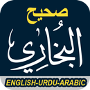 Sahih AL Bukhari Urdu Arabic English Translation APK
