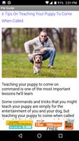 Poster Dog Pet Care Tips