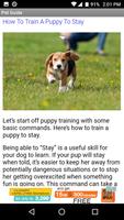Dog Pet Care Tips Ekran Görüntüsü 1