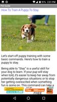 Dog Pet Care Tips Screenshot 1