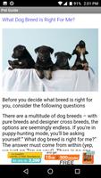 3 Schermata Dog Pet Care Tips