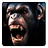 Caesar The Monkey King APK