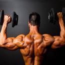 Gym Tutorial & body building APK