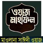 Saidi Bangla Waz tafsir icône