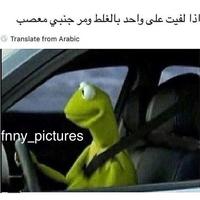 صور ونكت وفيديو واتساب روووعة 截图 2