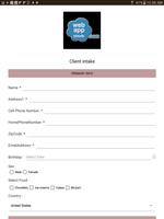 SalonCloudsPlus Intake Form syot layar 1