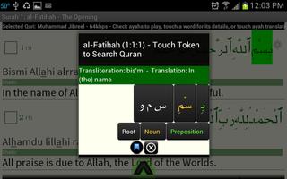 Quran Tafsir Pro ảnh chụp màn hình 1