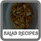 Salad Recipes Full icône