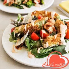 Salad recipes APK download