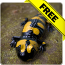 Salamander Free live wallpaper APK