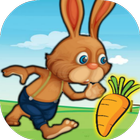 Bunny Farm Adventure-icoon