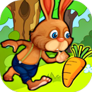 APK Bunny Jungle Adventure