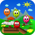 Balloon Pop