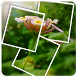 CIV Photo Style - PIP Photo Fa