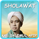 Sholawat KH Salimul Apip Terlengkap APK