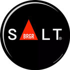 Salt icône