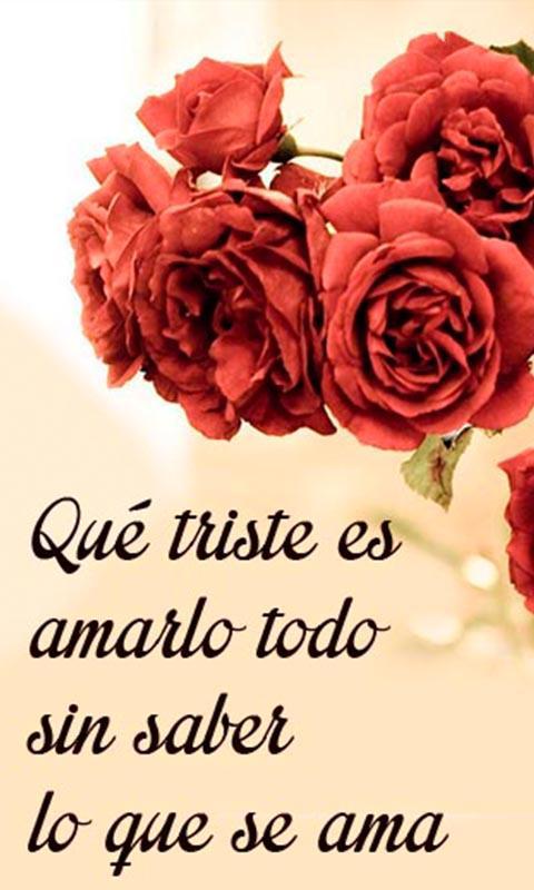 Romantic Love Quotes Spanish For Android Apk Download