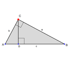 Pythagorean Theorem 8.G.6 ícone