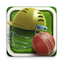 APK Hand Cricket Pro