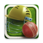 Hand Cricket Pro icône