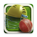Hand Cricket Pro APK