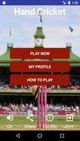 Hand Cricket Pro Affiche