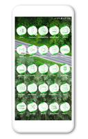 Neo Green Icons Pack screenshot 2