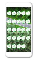 Neo Green Icons Pack screenshot 3