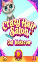 Crazy Hair Salon Cat Makeover poster