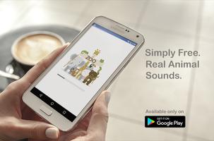 Animal Sounds Poster