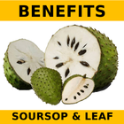 Soursop (Graviola) and Leaf Benefits biểu tượng