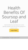 Soursop (Graviola) and Leaf Benefits bài đăng