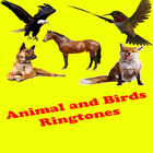 Free Animal Ringtones icon