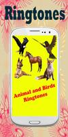 Free Animal Ringtones poster