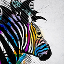 Zebra Print Fonds d'écran APK