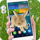 Bunny on Phone Screen Cute Lovely Joke aplikacja