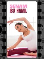 برنامه‌نما SENAM IBU HAMIL عکس از صفحه