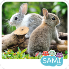 Sami Tiny FlashCards animaux, apps pour enfants icône