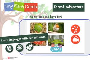 Sami Tiny FlashCards Bossen, forest adventures-poster