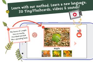 Sami Tiny Flash Cards Forest Adventures for kids screenshot 1