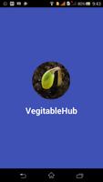 VegetableHub Affiche