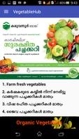 VegetableHub ภาพหน้าจอ 1