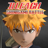 Shinigami Soul Fighting