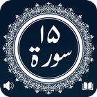 Last 15 Surah (Offline) Recita icon