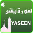 Surah Yaseen: Translation + Audio