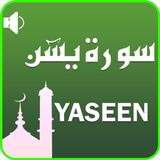 Surah Yaseen: Translation + Audio icône