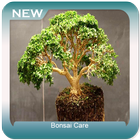 Bonsai Care-icoon