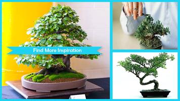 Bonsai Care โปสเตอร์