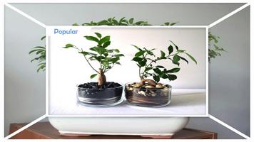 Bonsai Care ภาพหน้าจอ 2