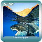 Shark Wallpaper icon